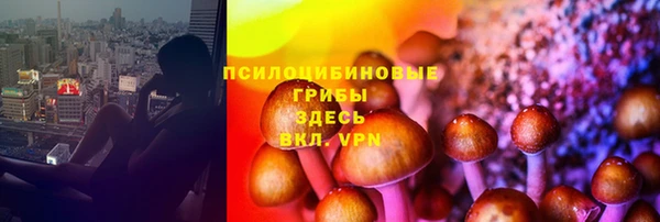 спиды Алзамай