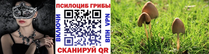 mega зеркало  Киржач  Псилоцибиновые грибы ЛСД 