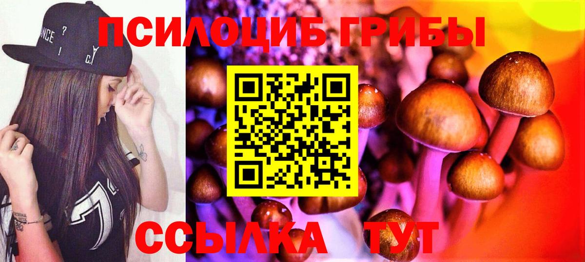Галлюциногенные грибы мицелий  Вход с VPN  Киржач 